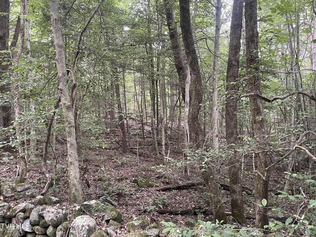 172 Carl Taylor Rd, Elizabethton, TN 37643