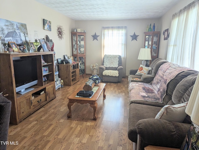 living room featuring hardwood / wood-style flooring