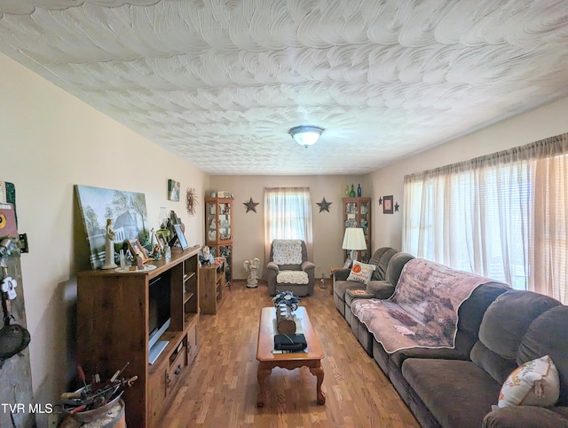 living room with light wood-type flooring