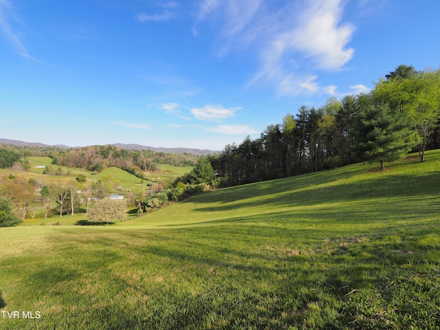 view of yard featuring a mountain view