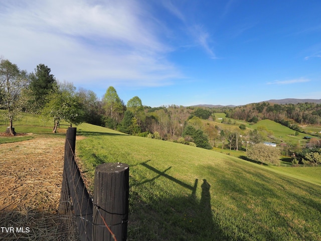 view of yard with a mountain view and a rural view