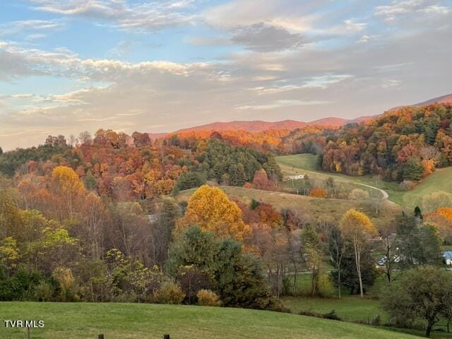 property view of mountains with a wooded view