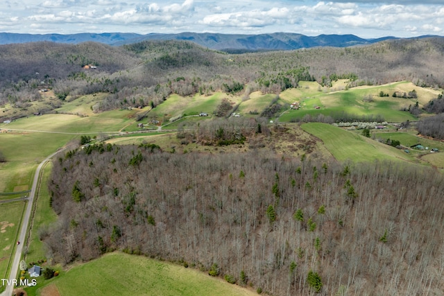 TBD Big Dry Run Rd, Mountain City TN, 37683 land for sale