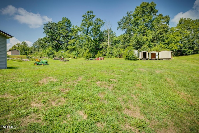 view of yard featuring a storage shed and an outbuilding