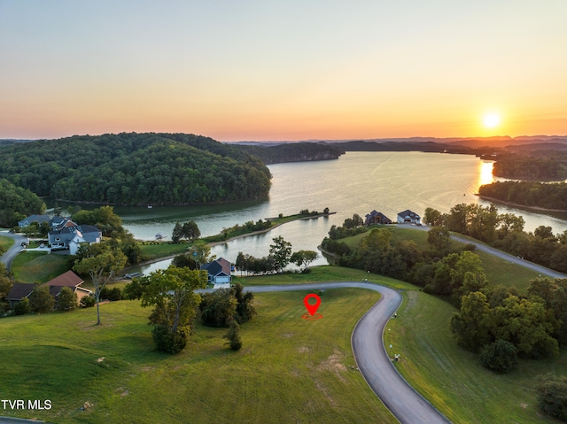 6360 Coves Edge Trl, Russellville TN, 37860 land for sale