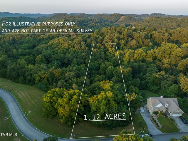 1984 Turners Landing Rd, Russellville TN, 37860 land for sale