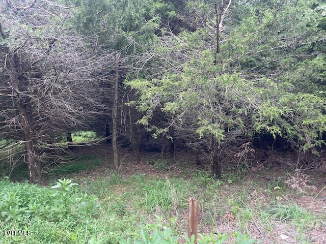 371 Geisler Rd, Piney Flats, TN 37686