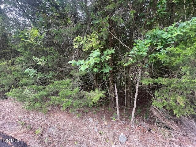 371 Geisler Rd, Piney Flats, TN 37686