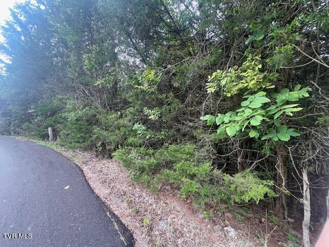 371 Geisler Rd, Piney Flats, TN 37686