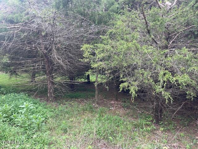 371 Geisler Rd, Piney Flats, TN 37686