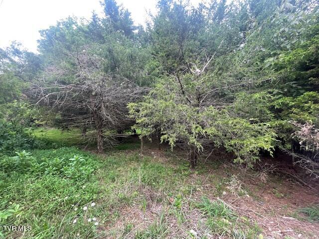 371 Geisler Rd, Piney Flats, TN 37686