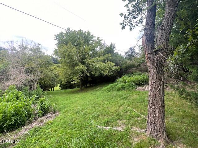 371 Geisler Rd, Piney Flats, TN 37686