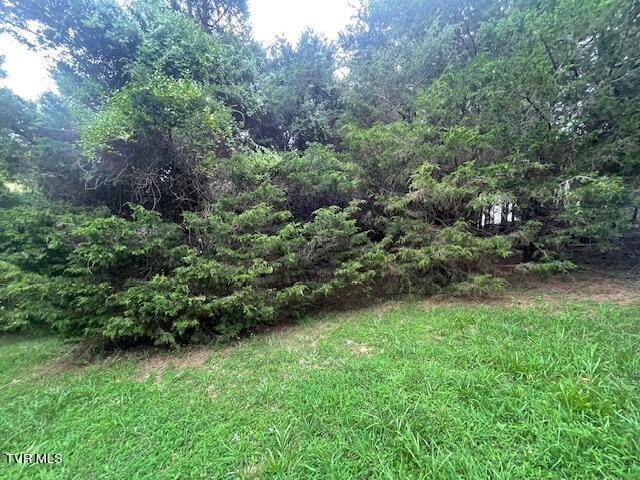 371 Geisler Rd, Piney Flats, TN 37686