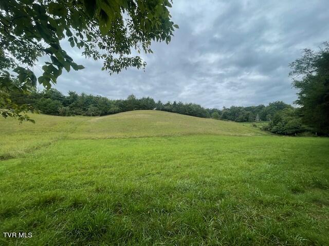 371 Geisler Rd, Piney Flats, TN 37686