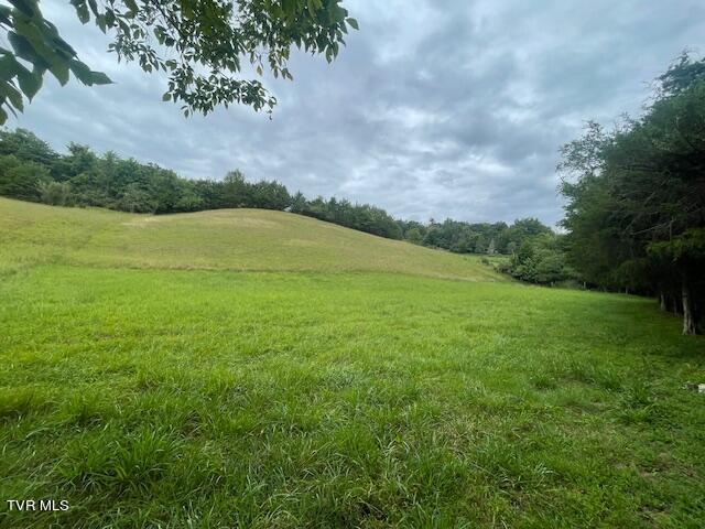 371 Geisler Rd, Piney Flats, TN 37686