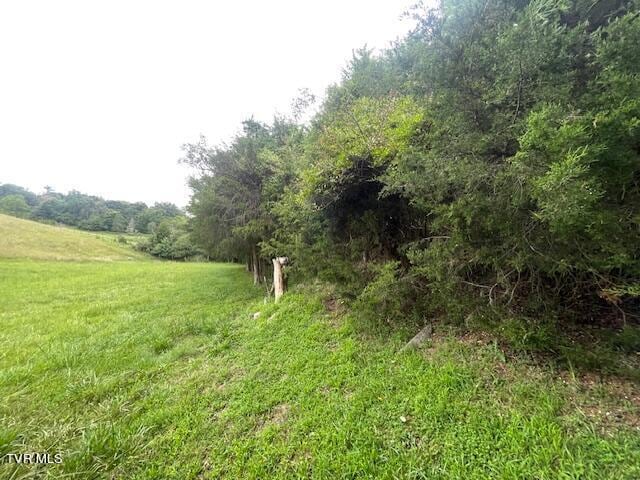371 Geisler Rd, Piney Flats, TN 37686