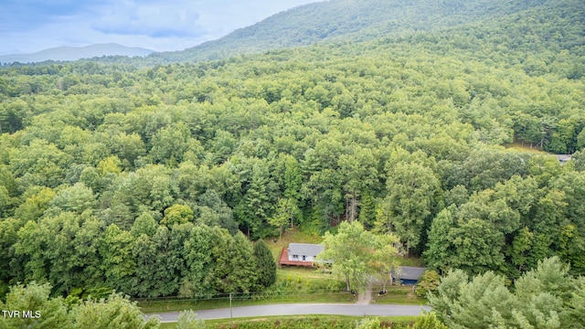 aerial view with a mountain view