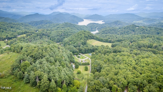 drone / aerial view featuring a water and mountain view