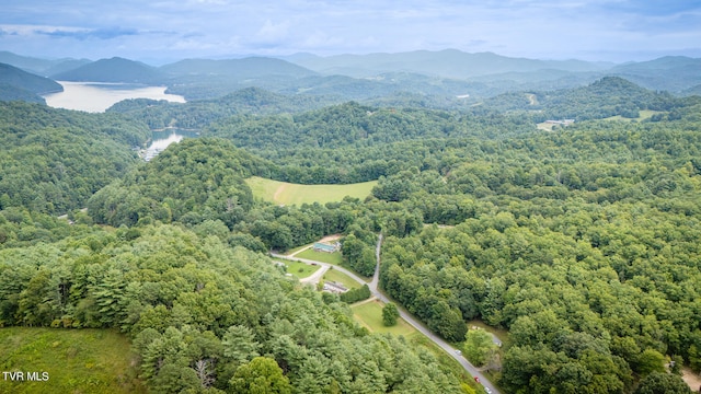 bird's eye view with a water and mountain view