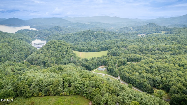 aerial view with a water and mountain view