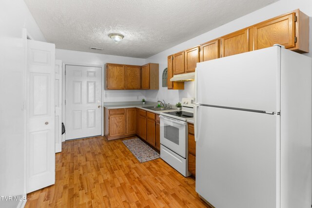 kitchen featuring white appliances, light hardwood / wood-style flooring, a textured ceiling, and sink