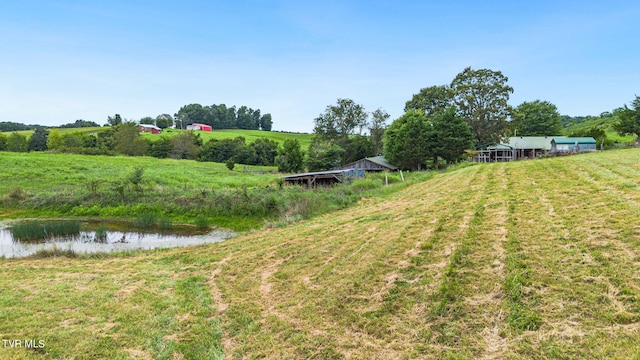 view of yard featuring a rural view