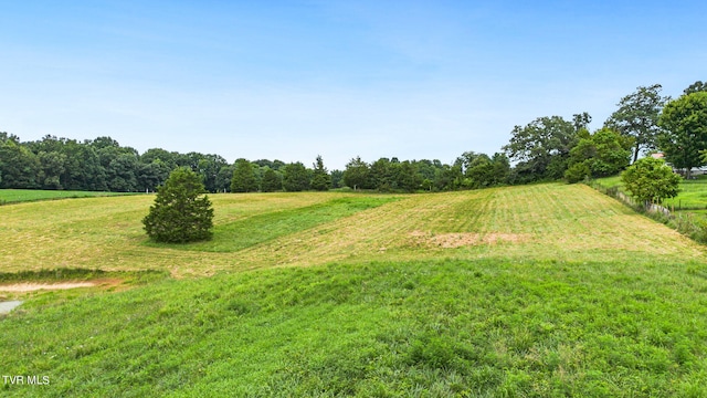 view of yard with a rural view