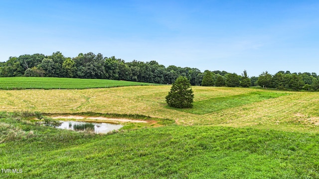 view of home's community featuring a yard