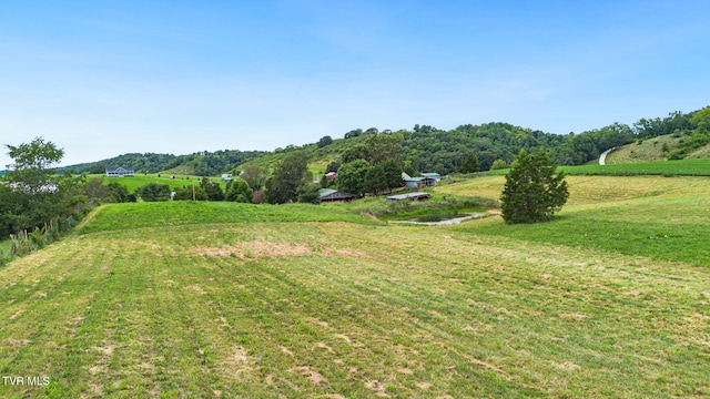 view of yard with a rural view