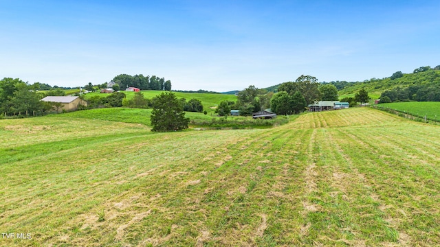 view of yard featuring a rural view