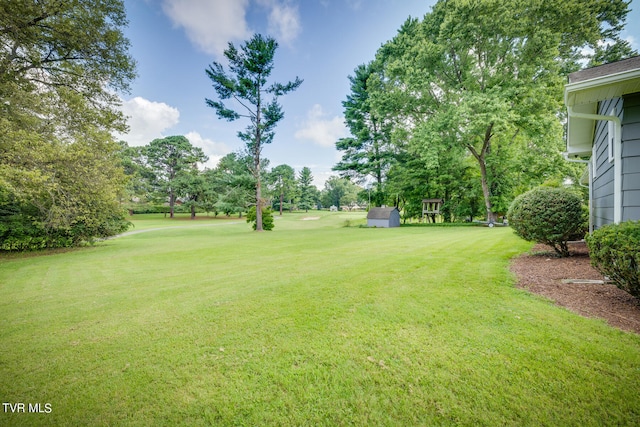 view of yard featuring a shed