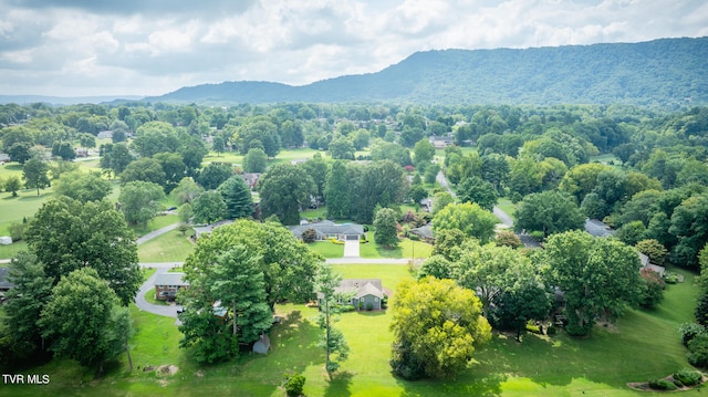 aerial view with a mountain view