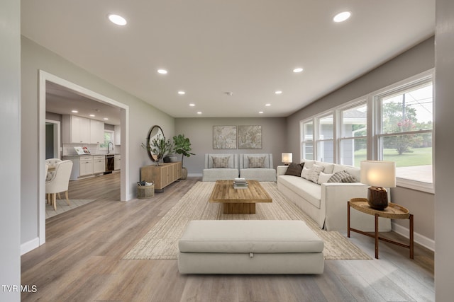 living room with light wood-type flooring