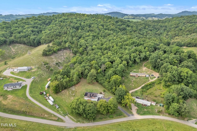 172 Lee Ave, Lebanon, VA 24266 - bird's eye view with a wooded view and a mountain view