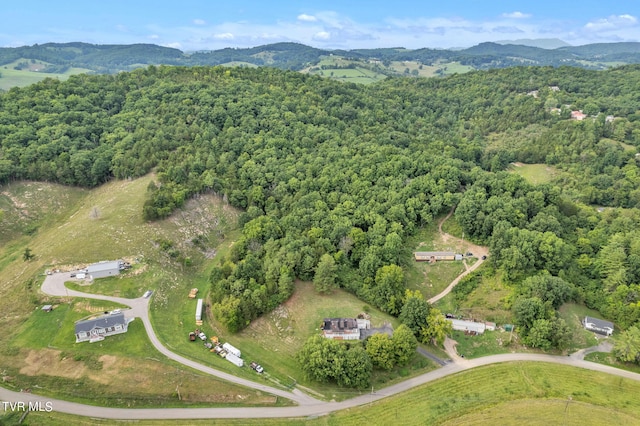 aerial view with a mountain view