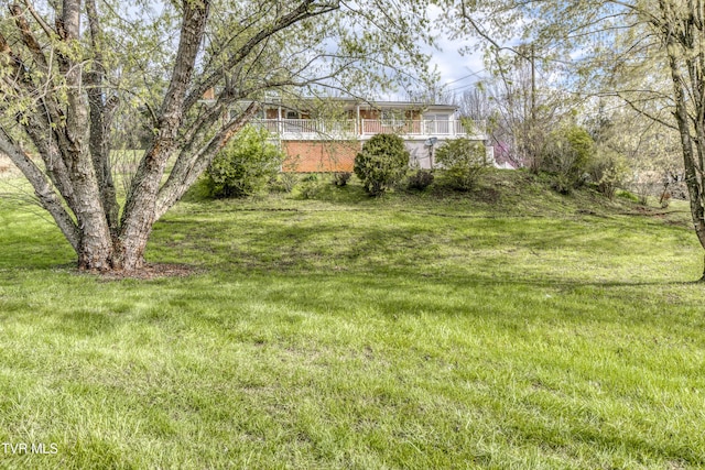 172 Lee Ave, Lebanon, VA 24266 - view of yard