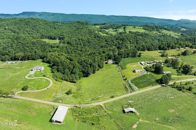 birds eye view of property featuring a mountain view