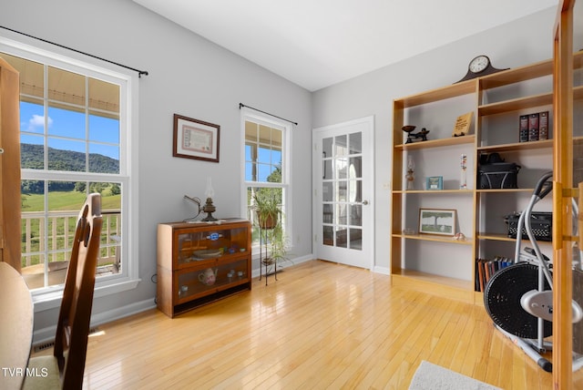 interior space featuring a healthy amount of sunlight and light hardwood / wood-style floors