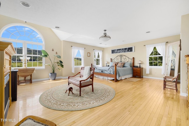 living room featuring plenty of natural light and light hardwood / wood-style floors