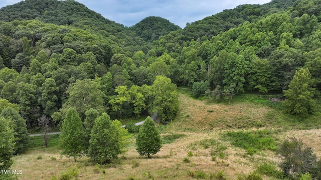 TBD Large Hollow Rd, Abingdon VA, 24210 land for sale