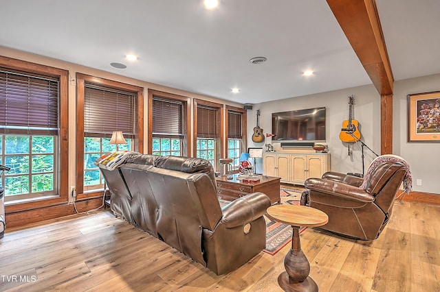 living room featuring light hardwood / wood-style flooring and a wealth of natural light