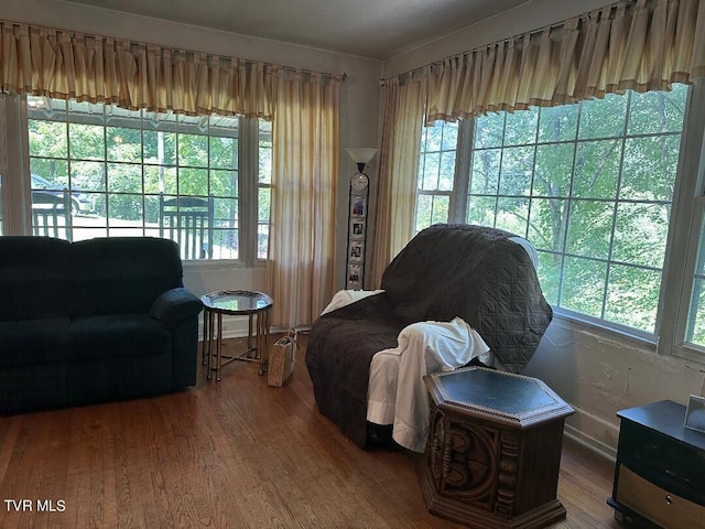 sitting room featuring hardwood / wood-style floors