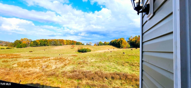 view of yard featuring a rural view