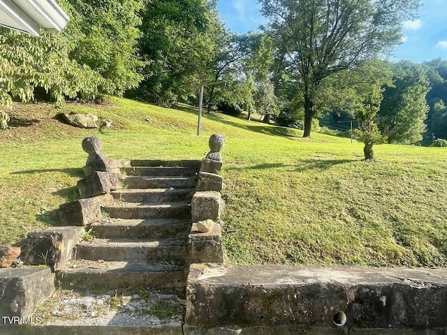 view of yard with stairs