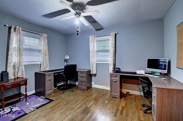 office space with ceiling fan and light hardwood / wood-style floors