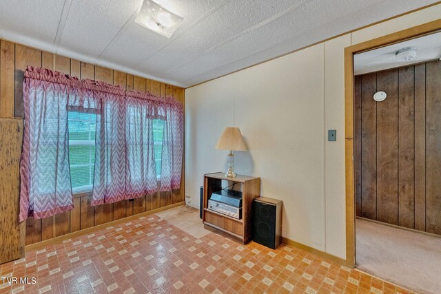 misc room featuring wood walls, a textured ceiling, and light carpet