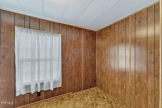 empty room featuring wooden walls and carpet flooring