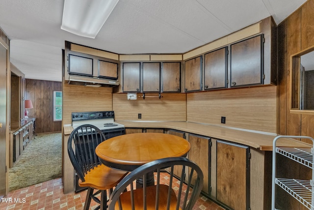 kitchen featuring light carpet, under cabinet range hood, wooden walls, and light countertops