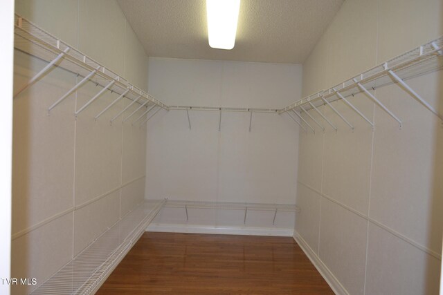 spacious closet featuring wood-type flooring