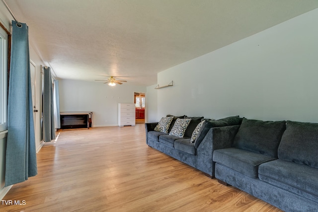 living room with ceiling fan and light hardwood / wood-style flooring